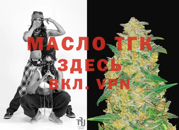 спиды Богородицк