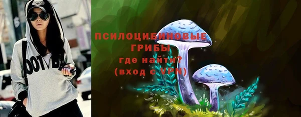 спиды Богородицк