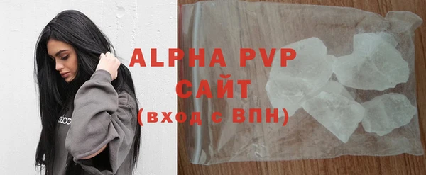 спиды Богородицк