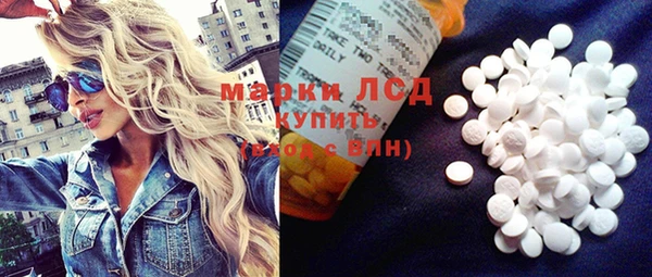 спиды Богородицк