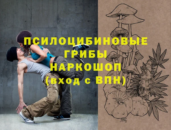 спиды Богородицк