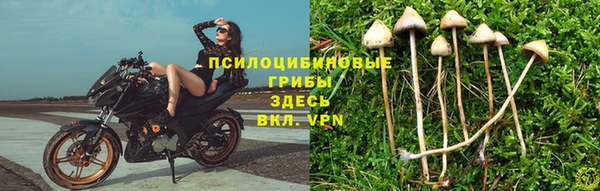 герыч Богородск