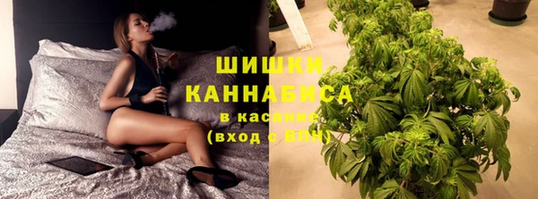 спиды Богородицк