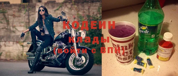 спиды Богородицк