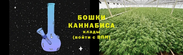 спиды Богородицк