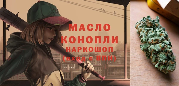 спиды Богородицк